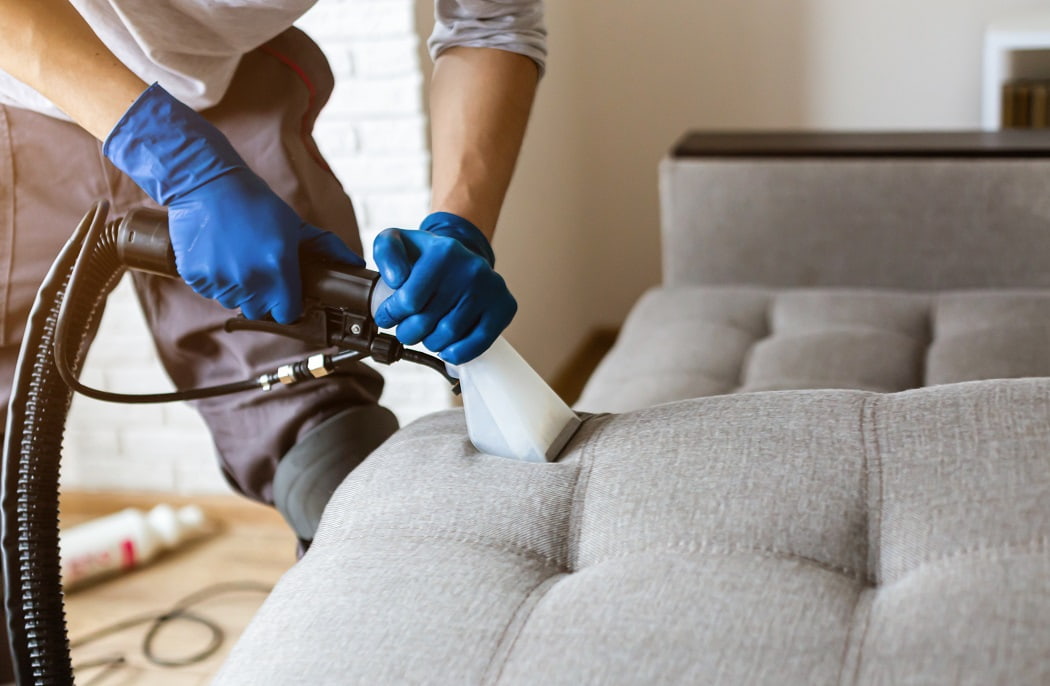 ⚡ General Cleaning Sofa